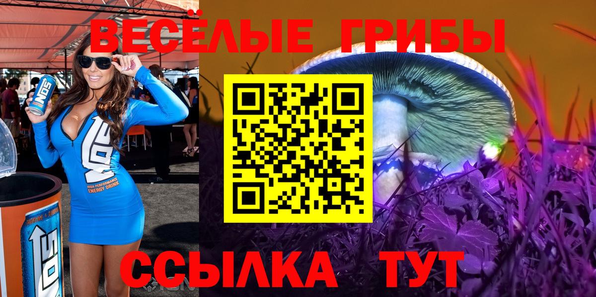 Галлюциногенные грибы ЛСД Новокуйбышевск